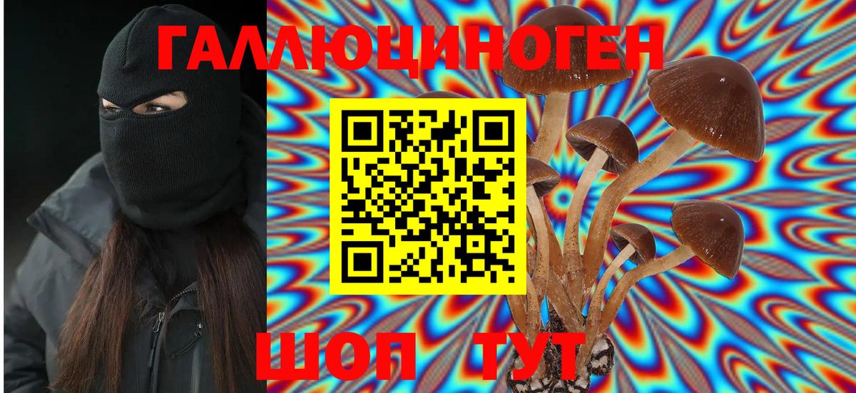 Псилоцибиновые грибы ЛСД Королёв